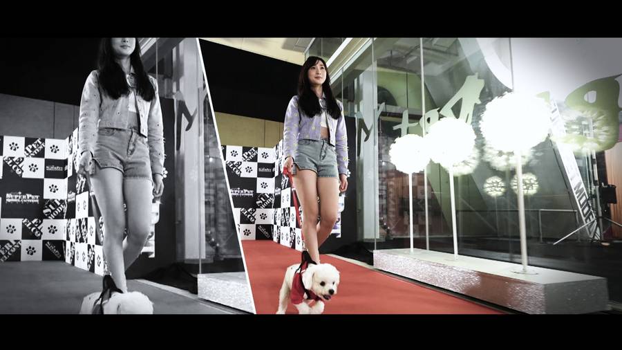 超級毛特兒大賽｜Yumi驚喜現身擔任團長16歲狗狗感動全場高顏值美女狗主獲網民矚目