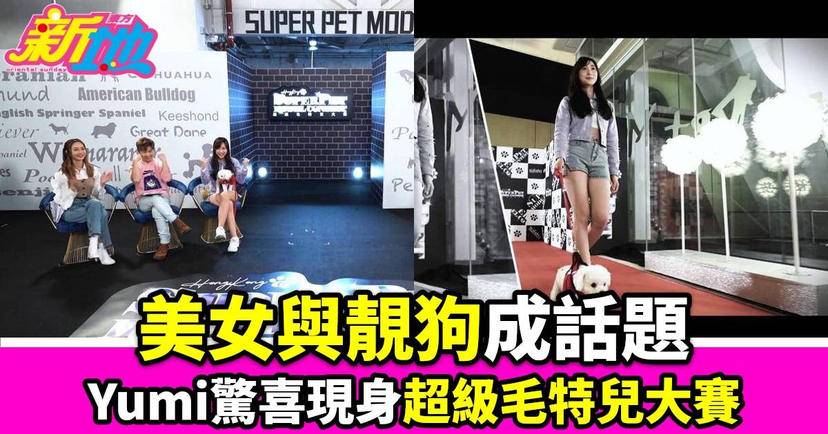 超級毛特兒大賽｜Yumi驚喜現身擔任團長16歲狗狗感動參賽美女與靚狗成話題