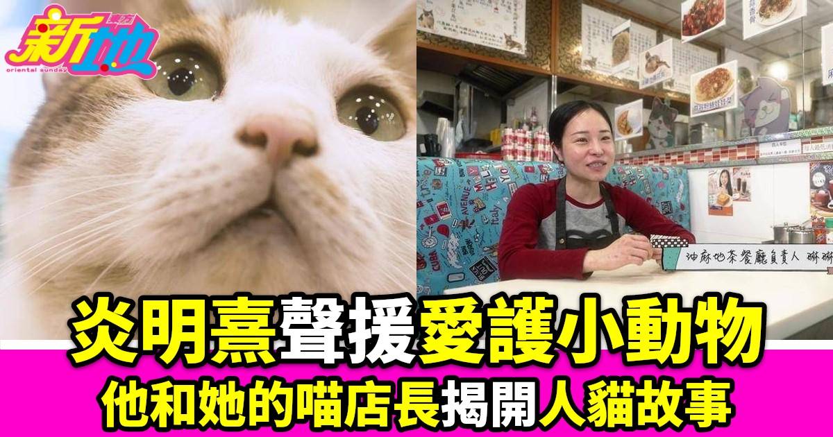 他和她的喵店長｜走遍香港老店拜會貓明星炎明熹聲援愛護小動物
