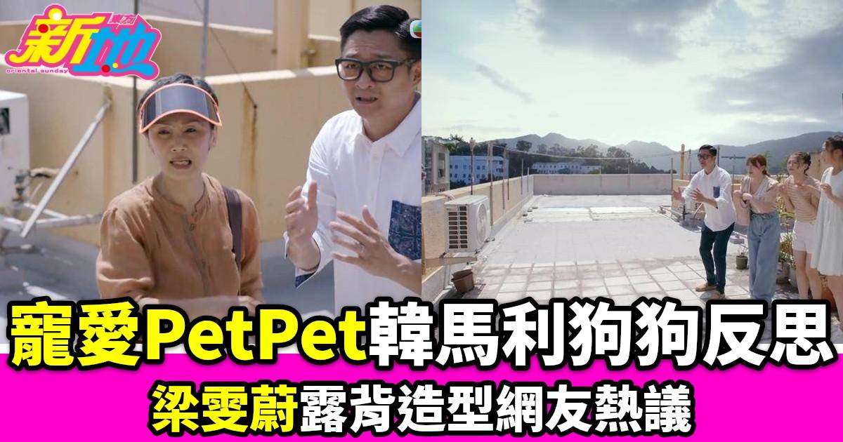  ^寵愛PetPet^韓馬利狗狗反思