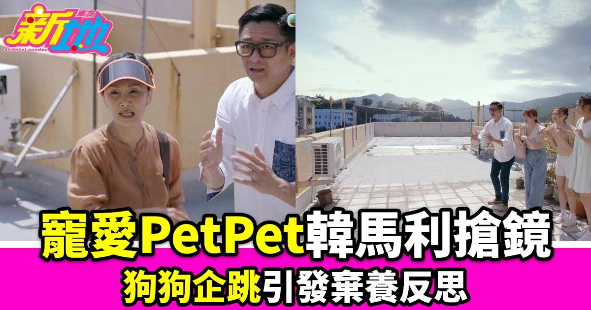 寵愛PetPet｜韓馬利偏執老人角色搶鏡狗狗企跳引發棄養反思網友熱議