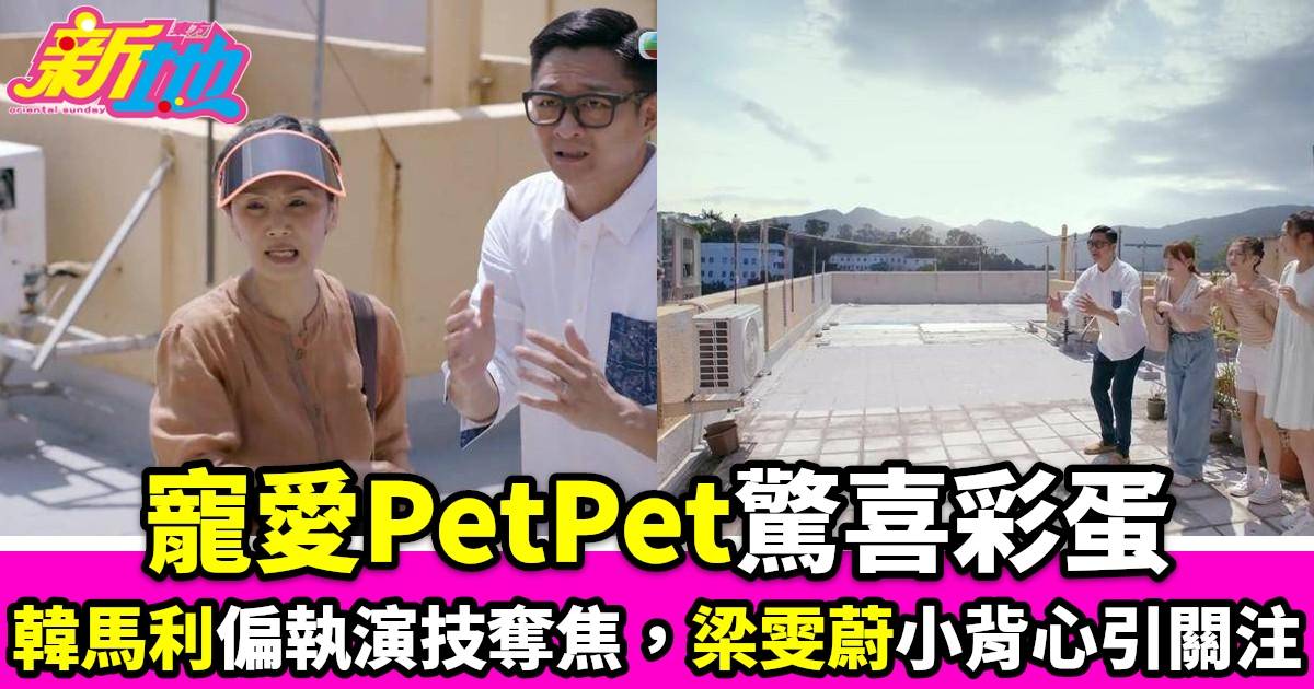  ^寵愛PetPet^驚喜彩蛋