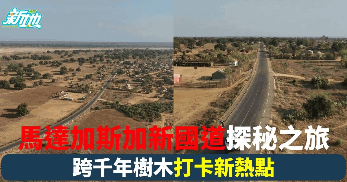 《無窮之路4》揭祕馬達加斯加最長國道與千年猴麵包樹 看中國如何在非洲留下深刻足跡