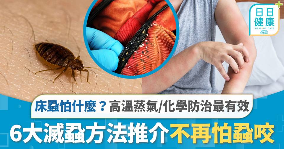 床蝨木蝨天敵|床蝨怕什麼?6招滅蝨方法不怕蝨咬 高溫蒸氣/化學防治最有效 | 家居 | 東方新地