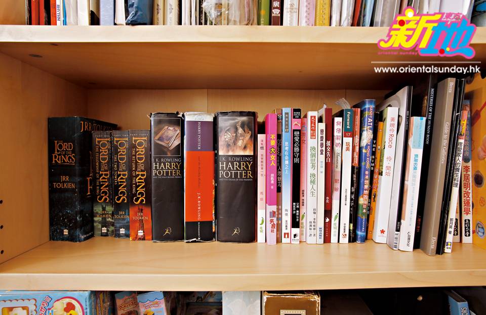 傅嘉莉 書房放滿Kelly鍾意睇的VCD和閱讀的書籍，其中包括J.R.R. Tolkien的經典長篇小說The Lord of Rings和Harry Potter等。
