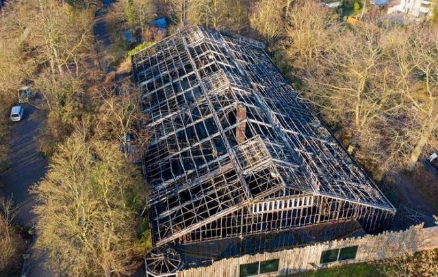 動物園 Krefeld Zoo的猿猴館慘遭燒通頂，內裡至少30隻猩猩及其他種類的動物「全數被燒死」！