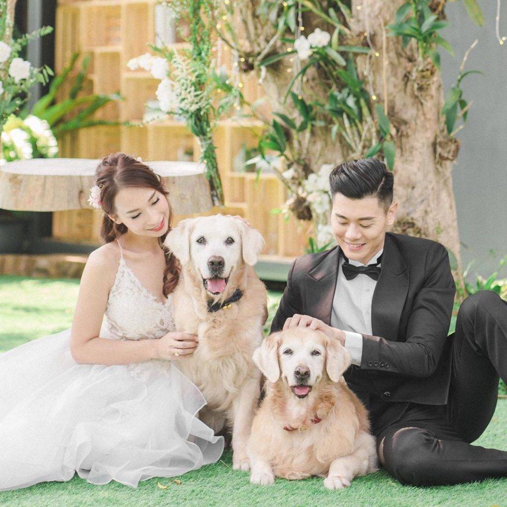李旻芳 視愛犬如家人，結婚照當然唔少得牠們。