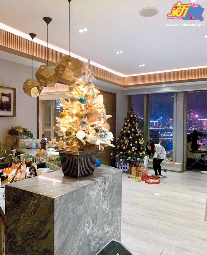 張韋怡 港姐 張韋怡 十一月已經開始布置緊聖誕，個廳大到聖誕樹都要擺兩棵，不過再多布置都被無敵夜景搶晒focus。
