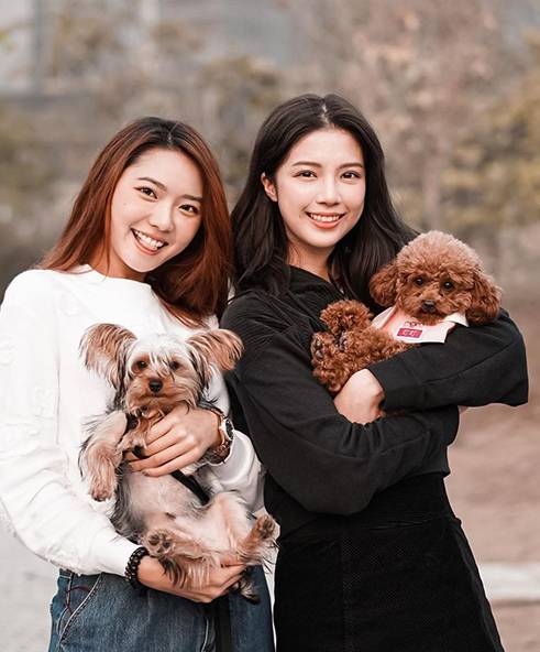 戴祖儀 戴祖儀與陳曉華是好姊妹，除了會一齊去放狗，還一齊去學戲。