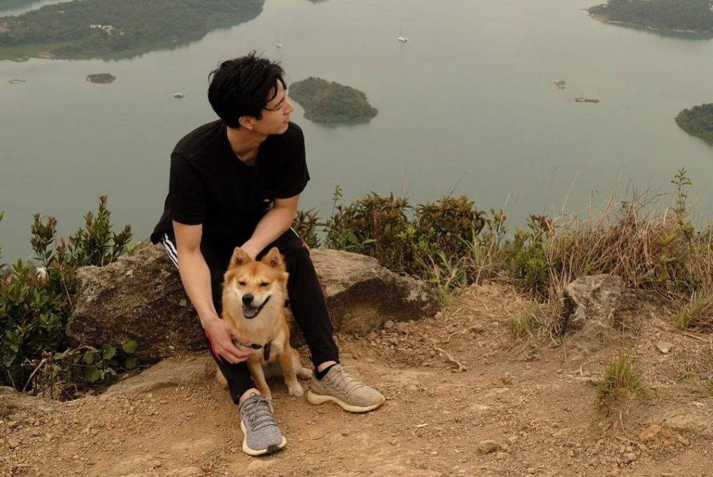 朱凌凌 朱凌凌亦上載了在同一個地點與愛犬的行山合照，當日狗狗戴上的狗帶與Honey的照片亦一樣。