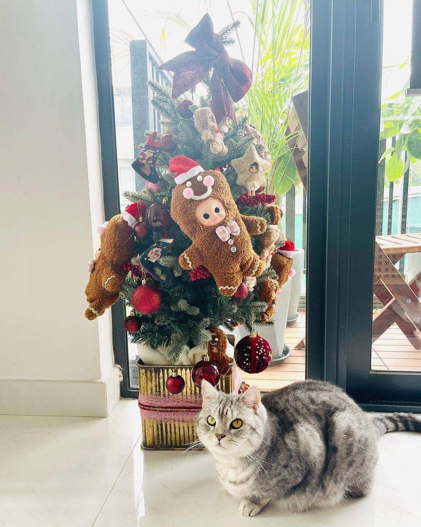 沙律於聖誕節上載的愛貓與聖誕樹的家居照片，背景似乎已不再是她與保錡之前同居的村屋。