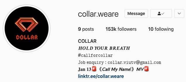 短短出道幾個鐘，COLLAR的粉絲數已經超過15萬人。（圖片來源：IG@collar.weare截圖）