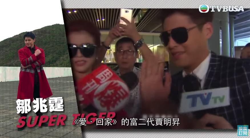 Super Tiger 鄒兆霆係第29期TVB電視藝員訓練班出身，於《愛．回家之開心速遞》飾演富家子弟「賈明昇」為人熟悉。