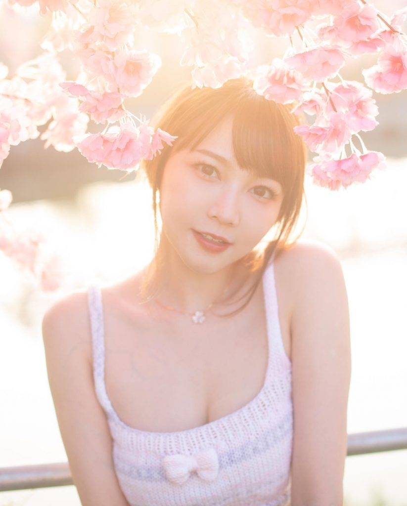 Lilian Kan 斜陽下拍攝的櫻花，最有感覺。