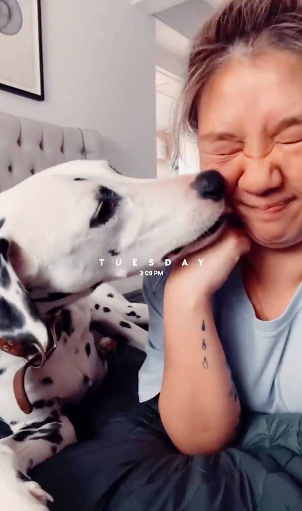 鄭欣宜 更有網民發現二人不時在家中有互動，搵出雙雙玩狗的短片。