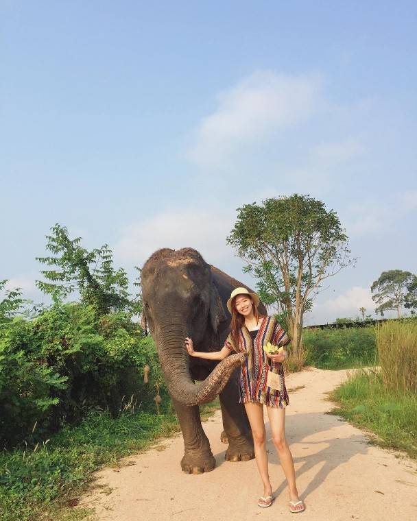 曾淑雅 Jumbo 另一張Jumbo與大象的合照，被網民大讚可愛。