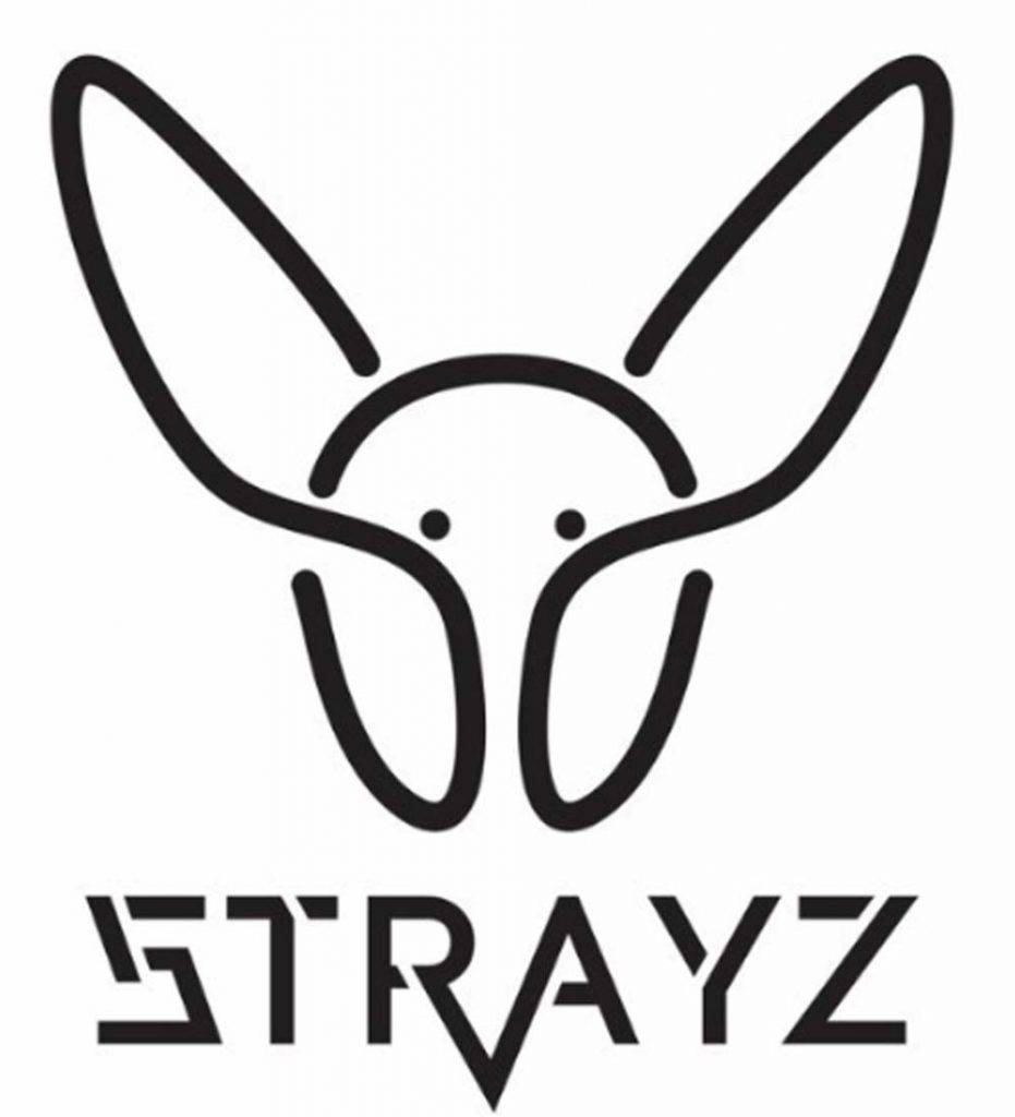 Strayz Val 趙展彤 5trayz讀音為Strays，有網友搞笑地將她們的中文團名改為流浪者聯盟。
