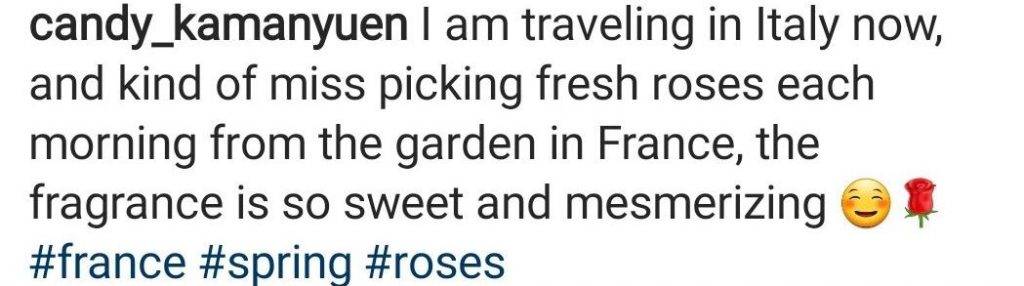 袁嘉敏 袁嘉敏在社交網留言話好掛住每朝早在花園摘玫瑰花。