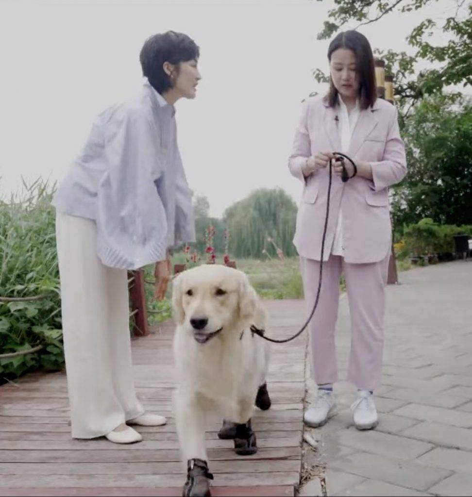 周海媚 周海媚現時居住在北京萬呎別墅中，更有愛犬周六六陪伴。