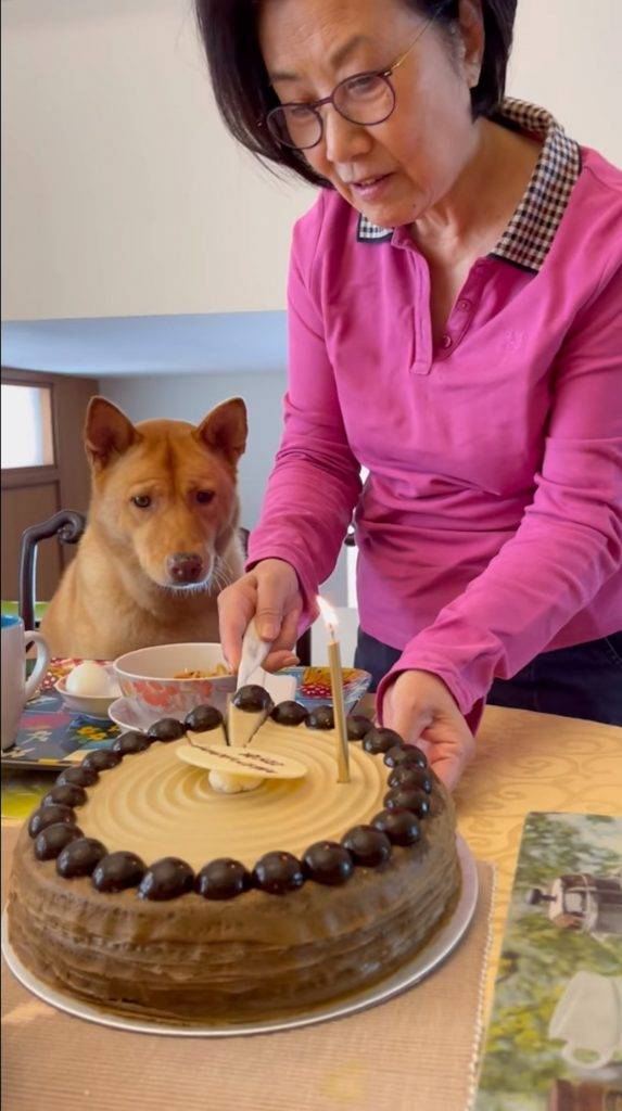 汪明荃在Facebook公開的影片中，將Lady M生日蛋糕餵給兩隻愛犬吃。