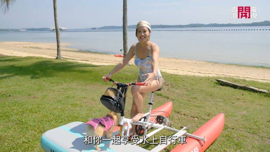陳芷尤 陳芷尤帶埋狗狗一齊玩上水單車。