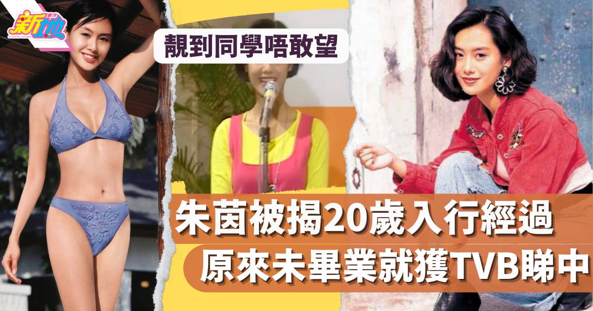 朱茵被揭20歲入行經過 原來未畢業就獲TVB睇中