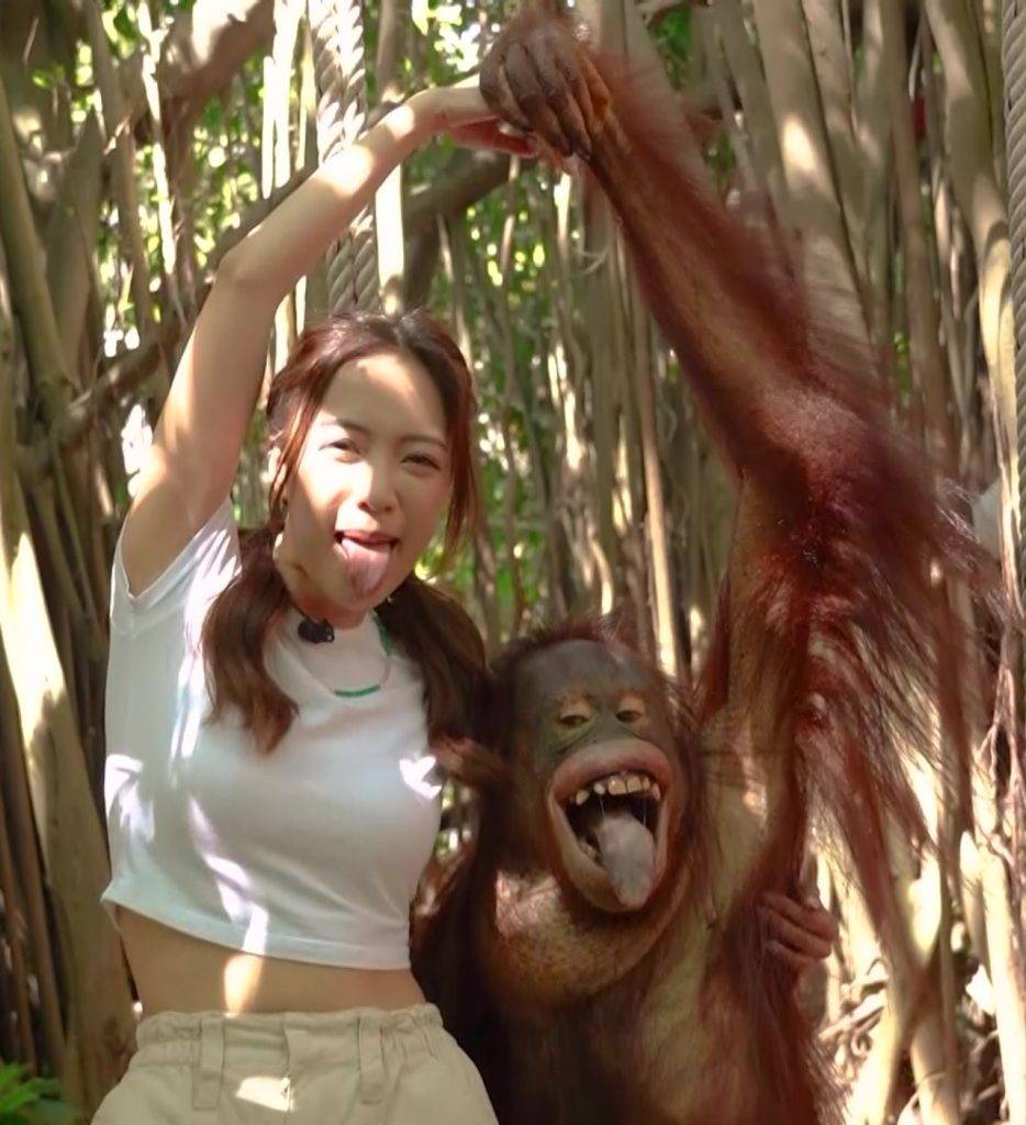 吃貨橫掃曼谷 彭慧中跟猩猩伸脷影合照。
