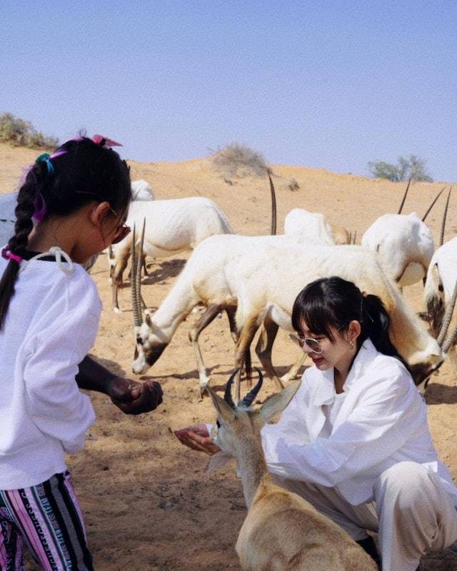 林明禎 與姪女一齊餵羚羊BB，好溫馨！