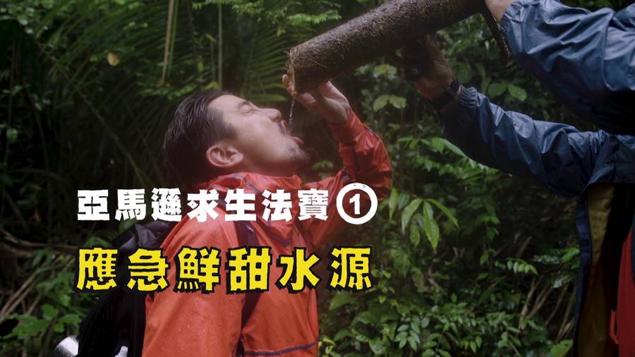 亞馬遜 導遊教導 Tony 如何劈樹根取水。