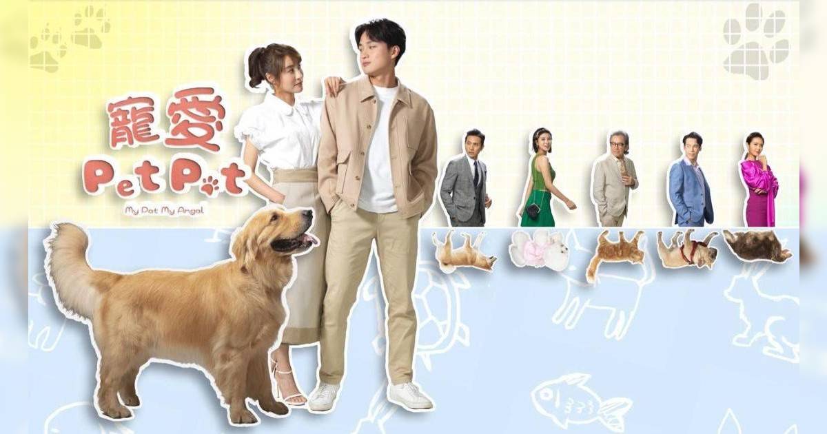 寵愛Pet Pet劇情｜20集TVB線上看主題曲：周嘉洛林夏薇譜姊弟戀