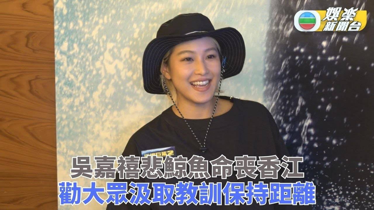 吳嘉禧提香港鯨魚悲劇籲汲取教訓 將考潛水牌盼體驗自由浮潛