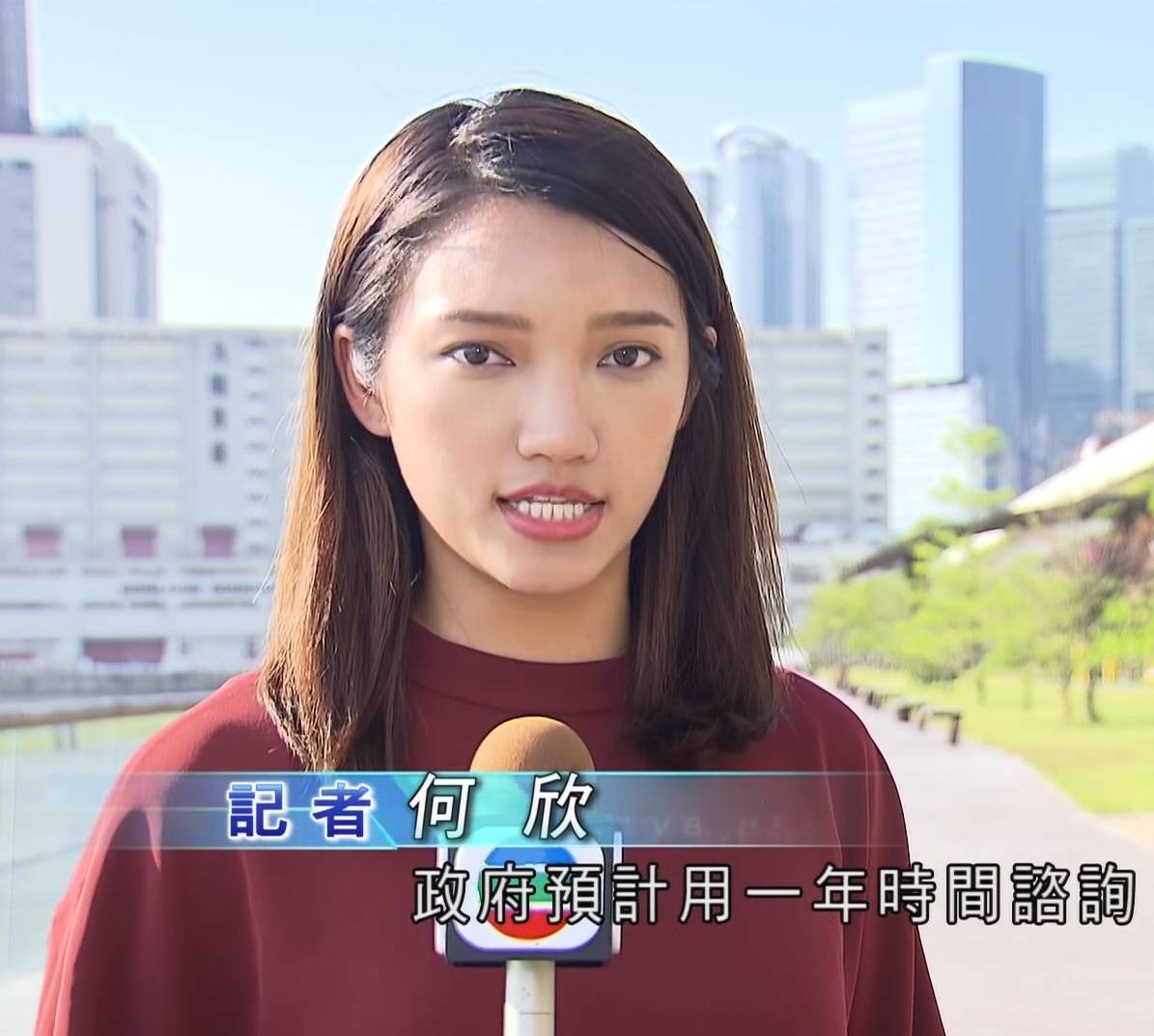梁凯寜 梁凯宁 仲有在TVB做记者时嘅何欣。