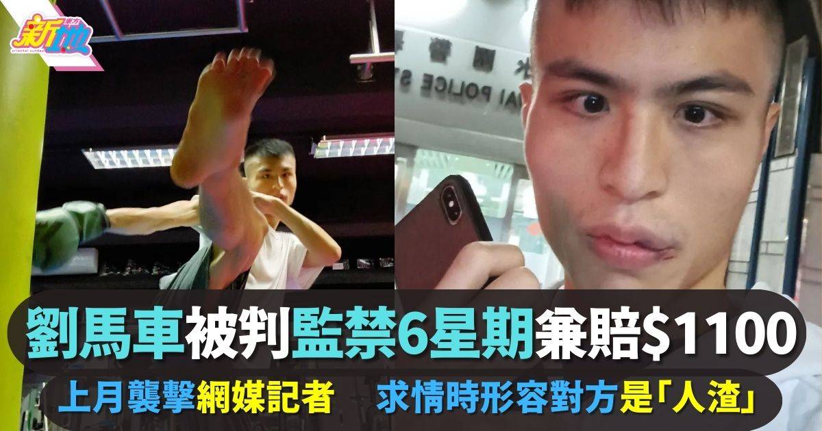 劉馬車襲擊記者被判監禁6星期 求情時不忘形容對方是「人渣」