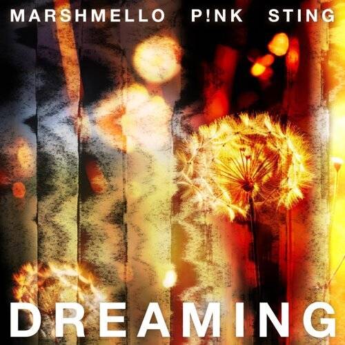 Marshmello, P!NK, Sting Dreaming 《Dreaming》歌詞｜Marshmello, P!NK, Sting新歌歌詞+MV首播曝光