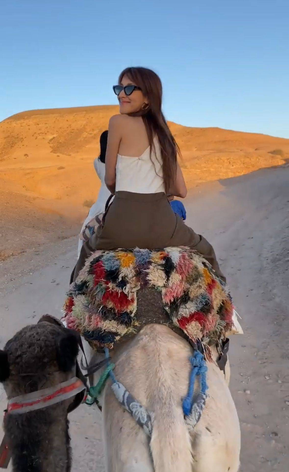 郑嘉颖 陈凯琳 Grace开心骑骆驼，不过却另一边厢引起网民抨击。
