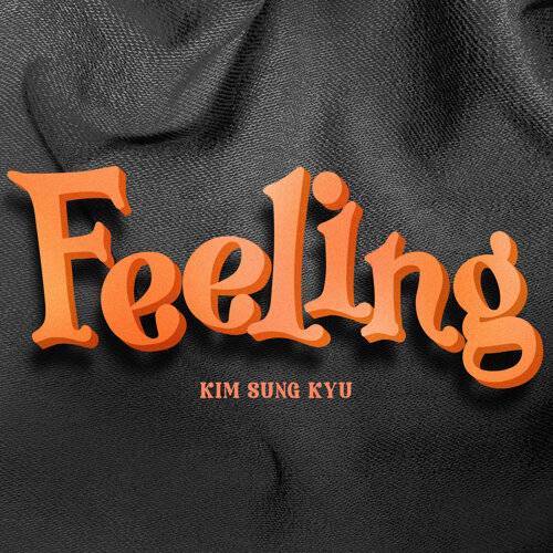 《Feeling》歌詞｜Kim Sung Kyu (김성규)新歌歌詞+MV首播曝光