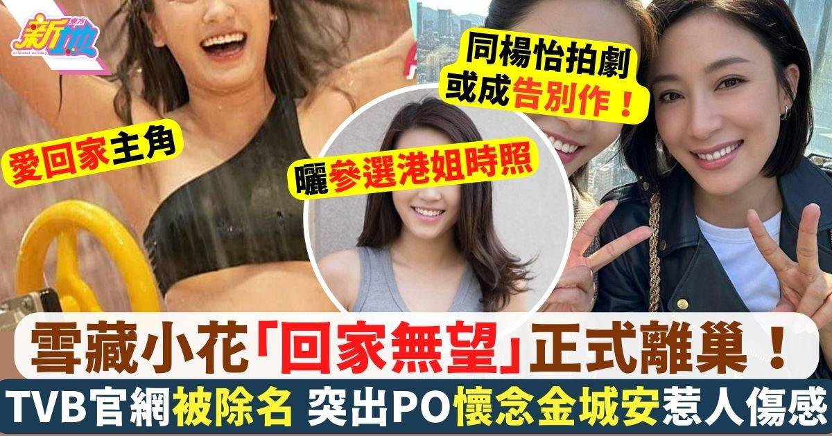 蘇韻姿「回家無望」宣布離巢 TVB官網被除名 出PO懷念金城安惹人傷感