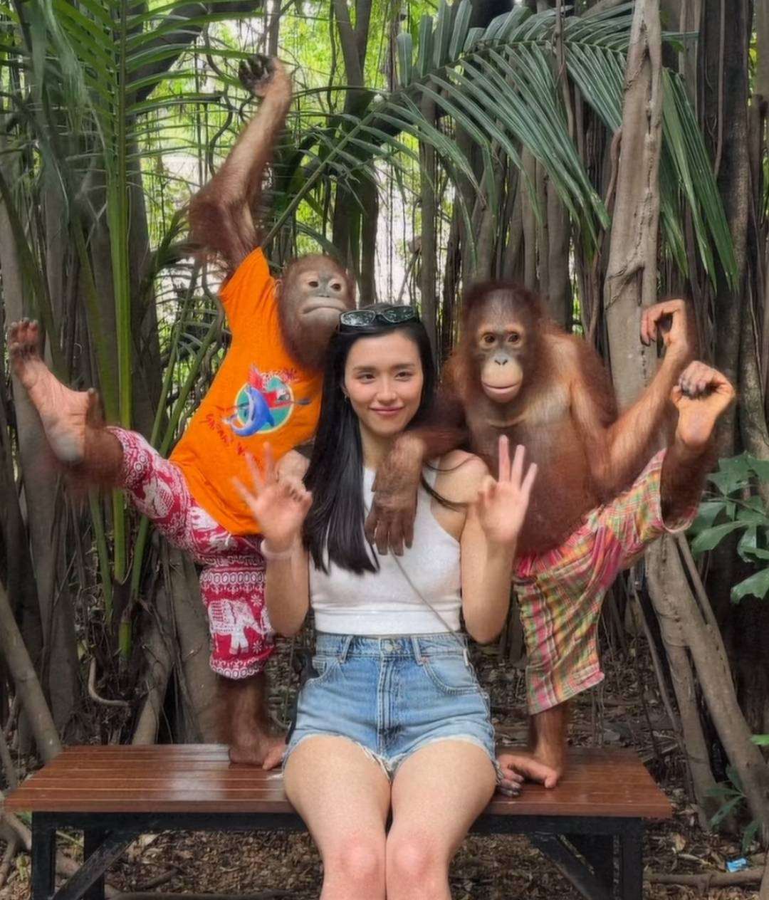曾淑雅 Jumbo去到动物园仲同猩猩影合照。（图片来源：IG@jumbotsang）