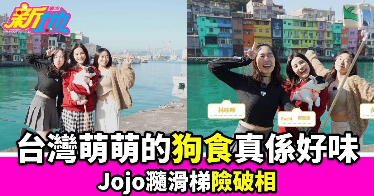 臺灣萌萌的｜暉哥胸前「有料」 Jojo 瀡滑梯險破相嚐狗食 台女神募集名模登場