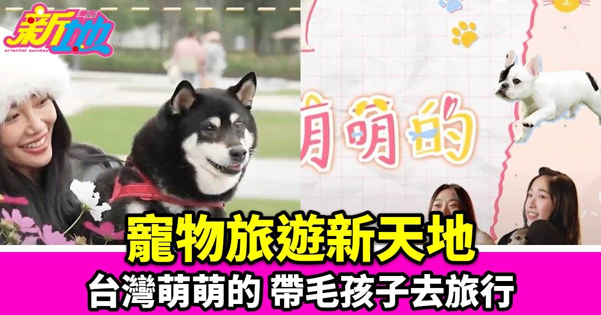 《臺灣萌萌的》：TVB Plus全新寵物旅遊節目，帶你探索臺南最佳寵物友善景點