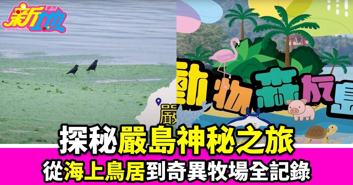 TVB Plus全新綜藝《動物森友島》探索世界島嶼 廣島尾道市郊「奇怪牧場」揭祕感人故事