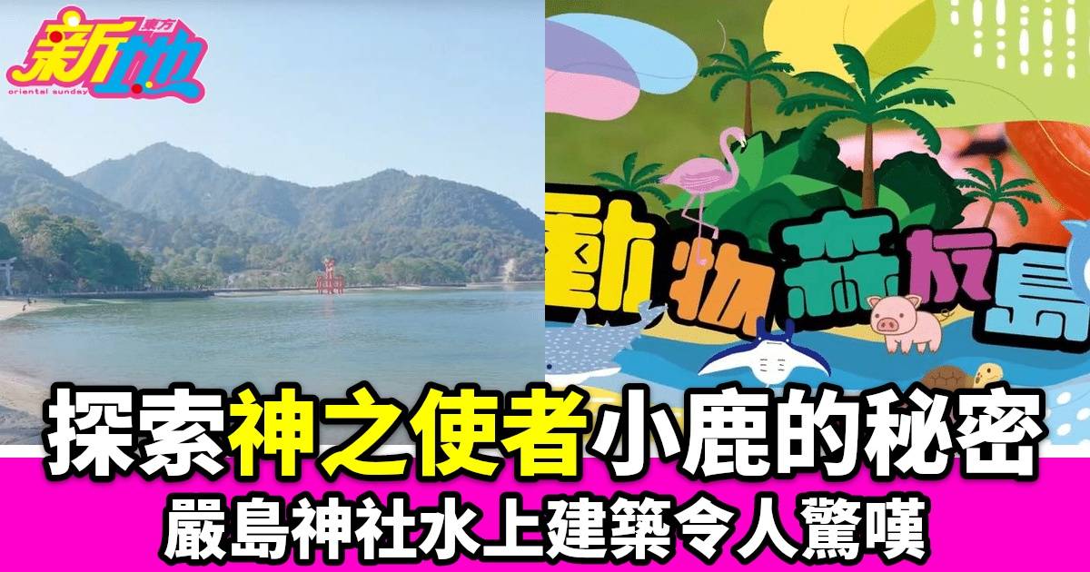 TVB Plus全新綜藝《動物森友島》探索嚴島 神社海鹿共舞 美食文化一次盡享