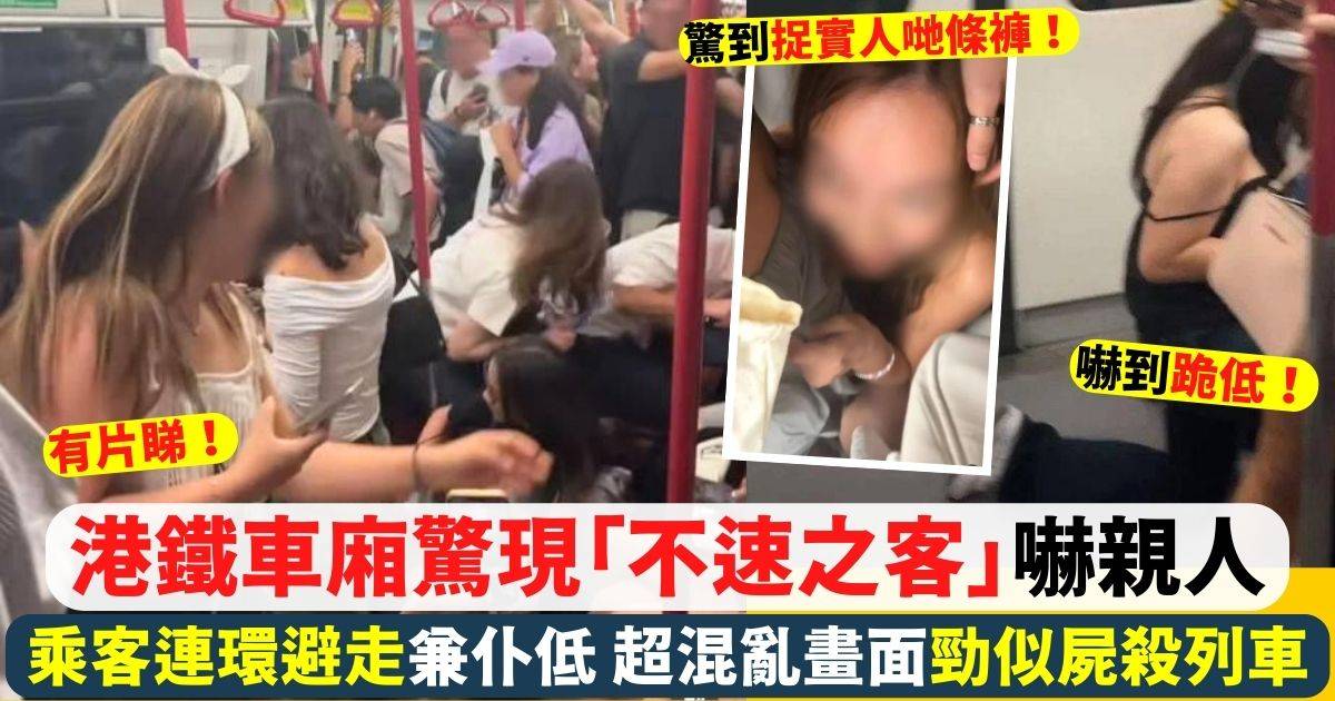 港鐵車廂驚現不速之客 乘客嚇到瘋狂避走兼仆低！