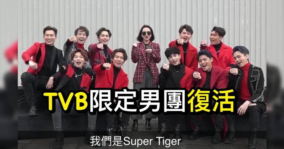 TVB男團SUPER TIGER備受力捧  C位羅天宇：估唔到14年之後我有呢個機會