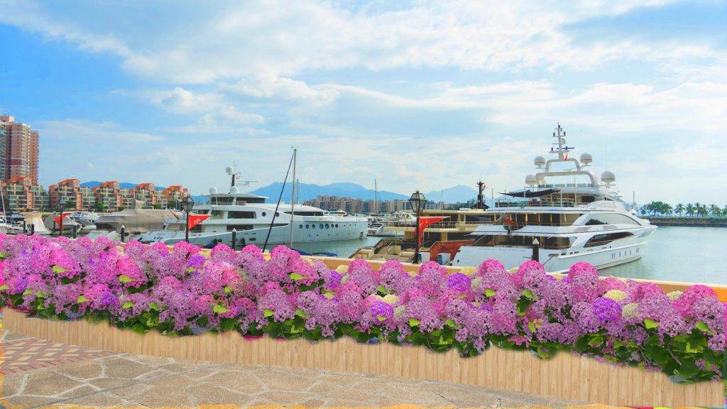 (圖片來源:信和集團提供)