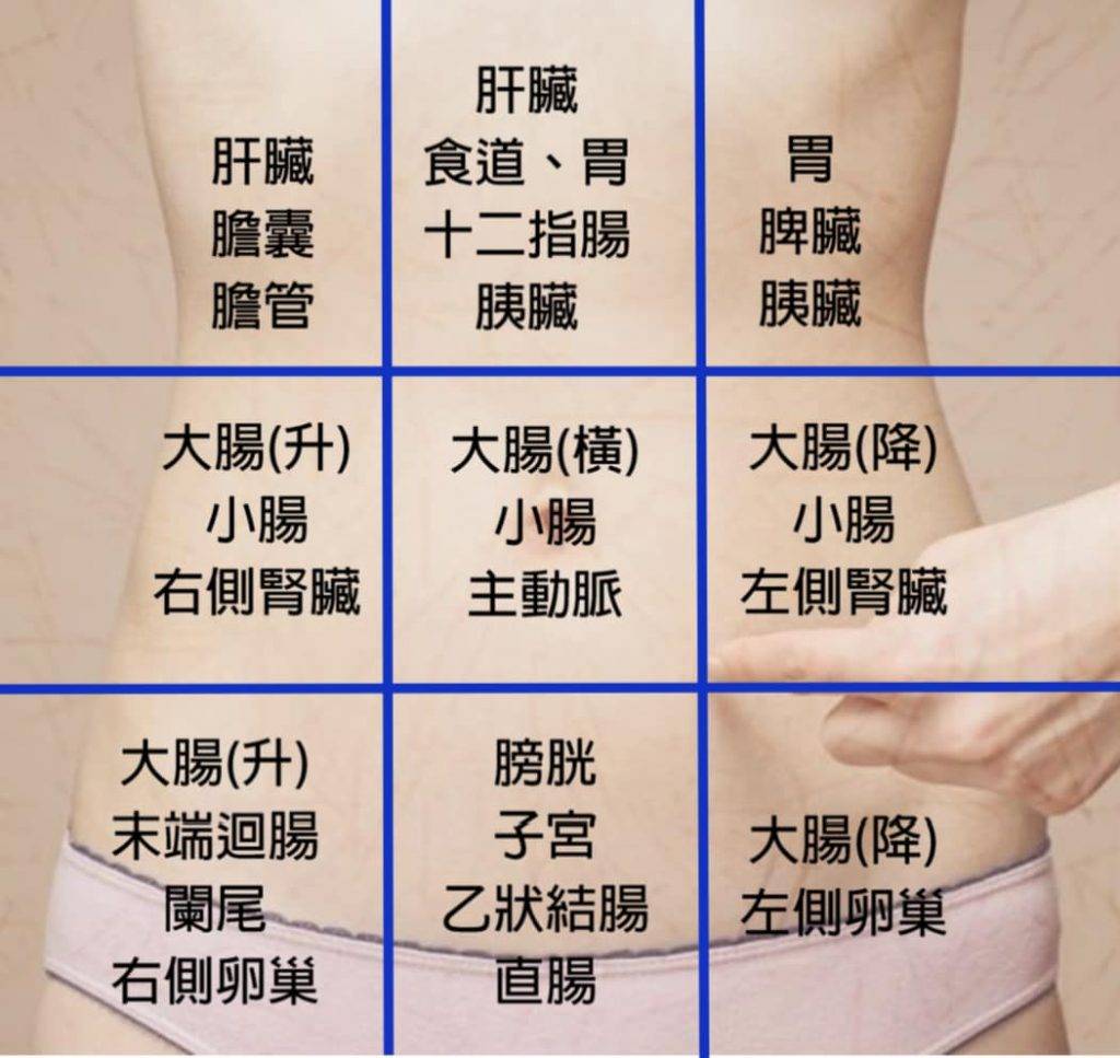 胃痛 一圖看懂腹部位置代表的器官。(圖片來源:Dr.Le李柏賢醫師fb專頁)