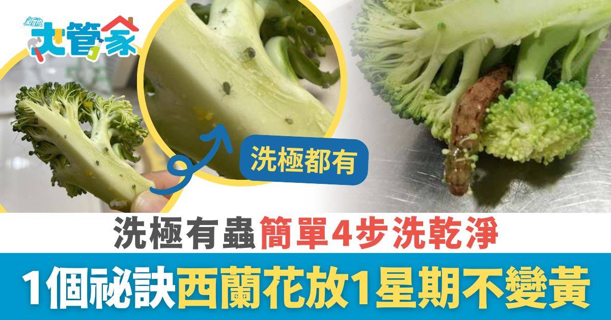 家居 大管家 食用安全｜西蘭花洗極都有蟲 專家教簡單4步洗乾淨 1個祕訣放1星期不變黃