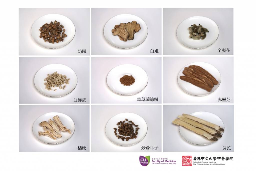 玉屏風散加味 中大調配的「玉屏風散加味」新中藥方劑由黃芪、防風、白朮、辛夷花、炒蒼耳子、赤靈芝、桔梗、白鮮皮和蟲草菌絲粉等組成。(圖片來源:中大圖片)