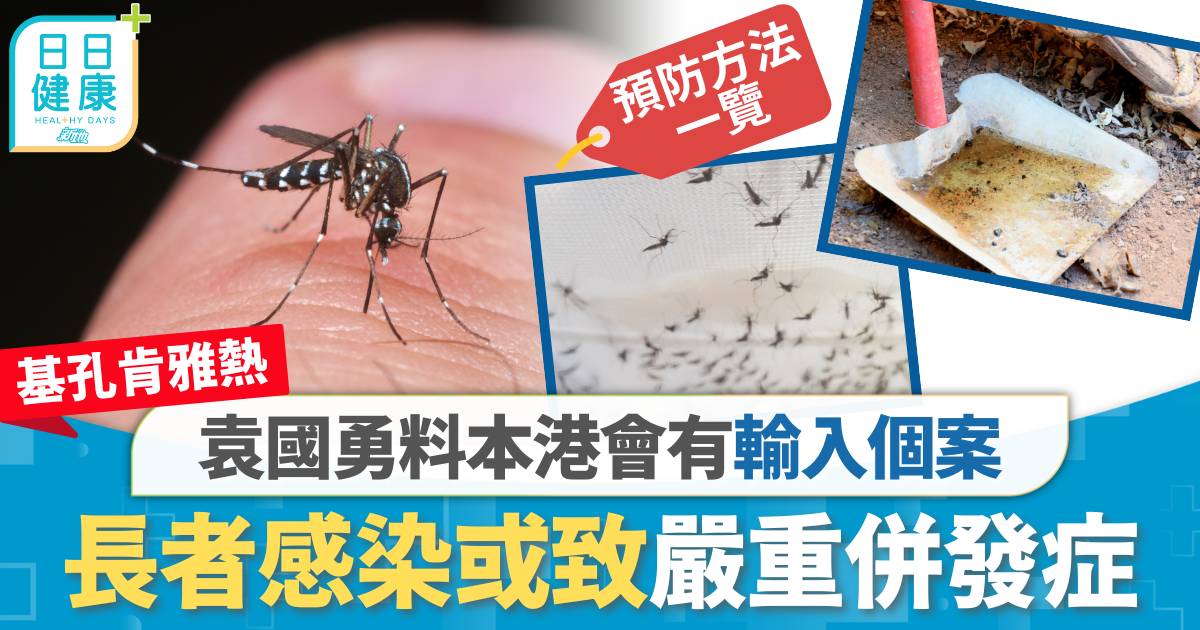 基孔肯雅熱｜袁國勇料本港會有輸入個案　長者感染或致嚴重併發症【附預防方法】