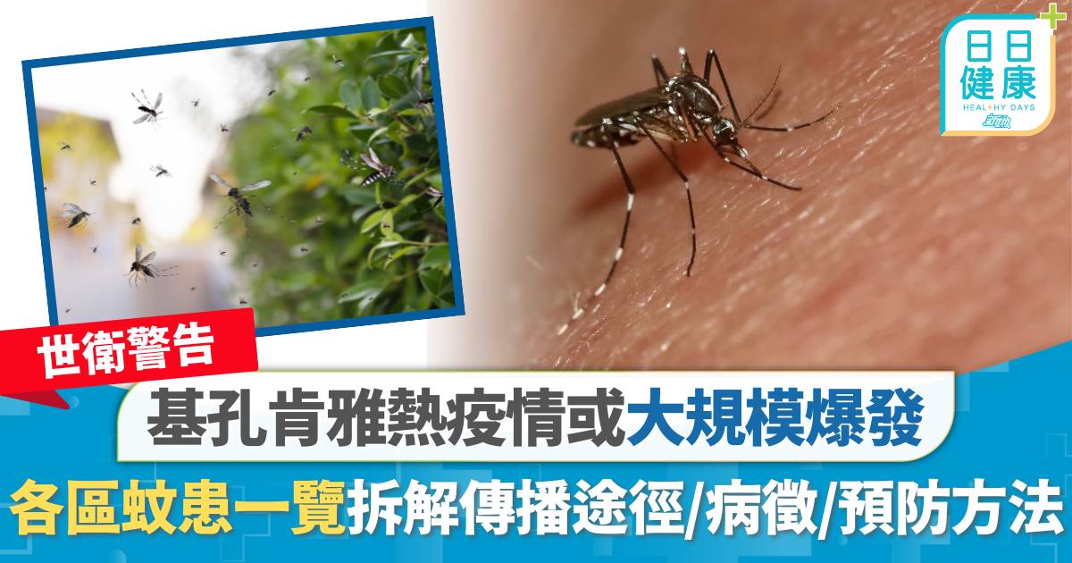 基孔肯雅熱｜世衛警告疫情或大規模爆發 各區蚊患一覽 傳播途徑/病徵/預防方法拆解